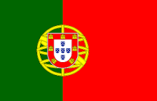Texas Flag